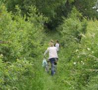 Progression difficile dans herbes hautes