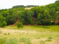 Des moutons paissent dans le pr...