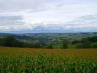 Sur les hauteurs...