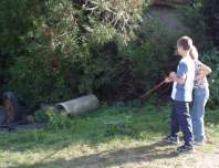 Les enfants ont vu des lapins traverser le chemin et se rfugier dans les dpendances d'une ferme...