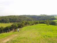 Vue sur la fort...