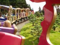 Dans le 'Joyeux train de Dumbo'