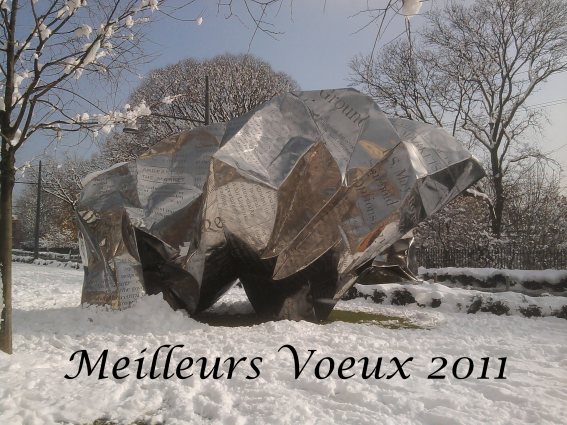 http://mbillottet.free.fr/bibliotheque/2011voeux.jpg