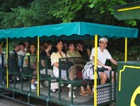 On prend un petit train pour rejoindre la grotte. La banquette était un peu dure mais la clim était efficace...