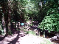 Au bout du chemin, a devient interdit aux VTT mais on peut continuer  pied. Pour notre part, on fait demi-tour.