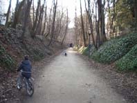 Sur le chemin de Champvert, on se croirait ailleurs qu'en ville...